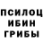 Псилоцибиновые грибы Cubensis Dima Korniychuk
