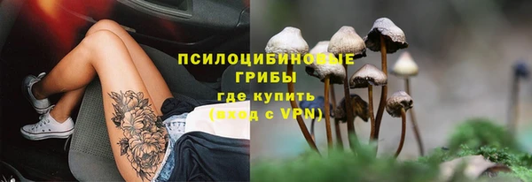тгк Абдулино