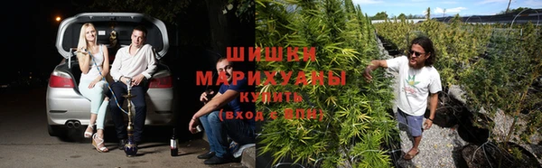 Альфа ПВП Алексеевка