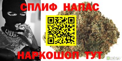 стафф Краснодар