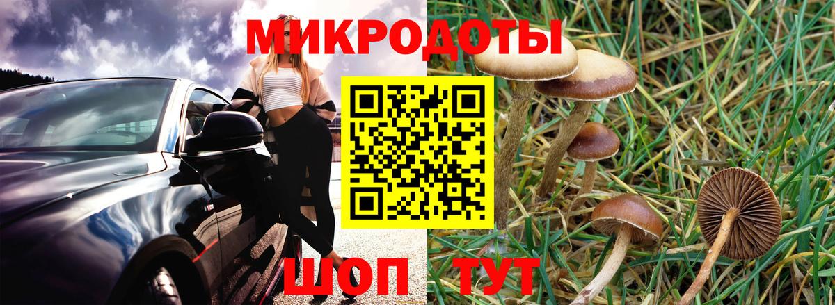 Галлюциногенные грибы Psilocybe Златоуст